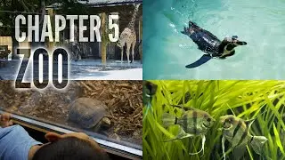 Zoo: EPIC little Adventures Chapter 5