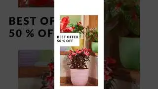 Verona Planter For Indoor Or Outdoor. #shorts  #youtubeshorts  #viral  #video  #love
