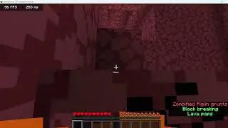 Reborn SMP with viewers!!!!!!!