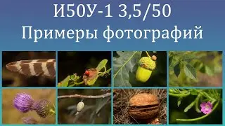И50У-1 3,5/50 Дешевый и мощный объектив с хорошей картинкой.Примеры фотографий Индустар 50У-1 3,5/50