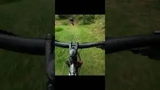 Мтб велопокатушки на трейле Багратки. Собака обломала.