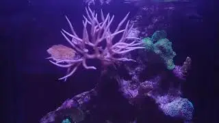 Rico's Nano Challenge 2018