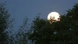 Восход полной луны.Видео зарисовка