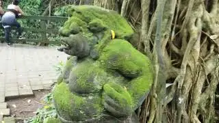 Ubud Monkey Forrest Bali 2019