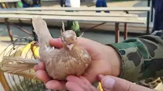 1.09.2024г ст.Бронницы Коротенький обзор