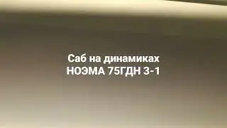 Саб на редких динамиках НОЭМА 75 ГДН 3-1.