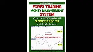 Rulet Masasından Forex’e: Risk Yönetimi ile Büyük Kazanç Stratejileri