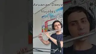 Aruarian Dance - Nujabes - Flute #Shorts