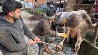 KURBANLIKLARA TIRNAK KESİMİ YAPTIK