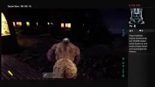 Ark Boss Terminal