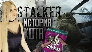S.T.A.L.K.E.R.: ИСТОРИЯ КОТА ♥ ПОЛНОЕ ПРОХОЖДЕНИЕ