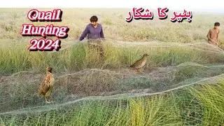 Batair ka shikar//آج کا تازہ شکار