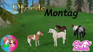 SSO Fundorte der Pferde am Montag 11.8.
