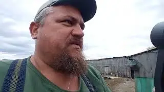 Что было с Газелью