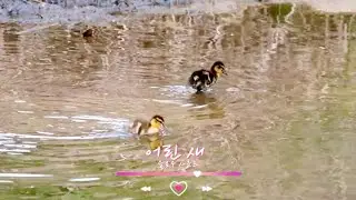 [Free][track list][808] 어린 새