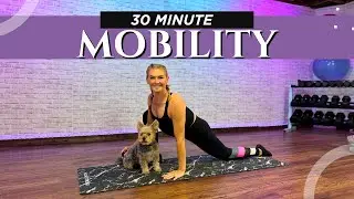 30-Min Mobility Workout for Flexibility + 5-Min Meditation | No Equipment Needed! 🧘‍♂️✨