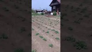 Слава Богу за всё. Жизнь продолжается.