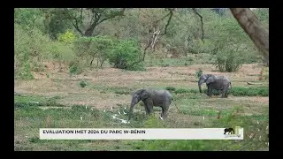 Evaluation de l'efficacité de gestion du Parc W-Bénin