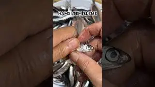 HAMSİ TEMİZLEME 🐟 BALIK AYIKLAMA TEKNİKLERİ 