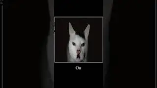 Гитлер сидит на берëзке, а берëзка гнëтся! #schorts #trending #memes #funny