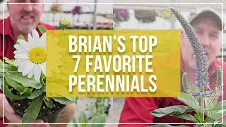Brian's Favorite Perennials This Year at Bauman's Farm and Garden