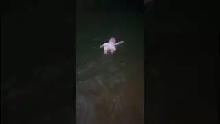 Scary TikTok don’t watch alone 😱😨