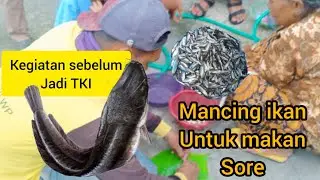 Mancing sore dapat banyak ikan  #viral  #mancing #mancingmania
