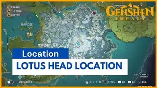 Genshin Impact - Lotus Head Location