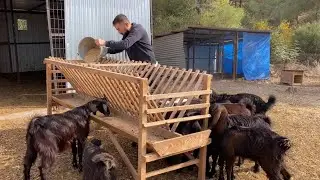 DÜNYACA ÜNLÜ YOUTUBER USER  DESTEĞE GELDİ😂