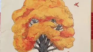 Look at a Tree written by Eileen Curran and illustrated by June Goldsborough