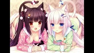 AMV | Nekopara