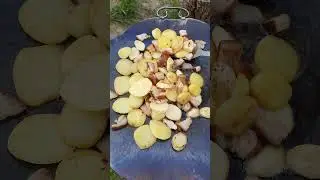 Садж из диска бороны. Первый "Пуск"