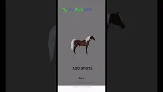 Wild Horse Islands Custom Horse Creator Concept