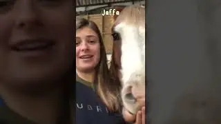 Comment if you know these ponies! 💖💖 || Video credits - 