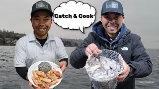 Daytime Squids Fishing ( Catch & Cook )