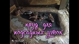 Пруд для подсадных уток.