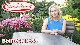 Программа «Выходной» ТВ-ИН Магнитогорск от 14.07.2016г.