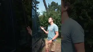 DAS passiert beim ersten Kauf eines Camper Van #shorts #campervan #vanlife