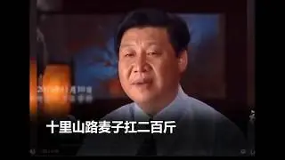 习包子：”十里山路不换肩” 驴十里山路就不换肩