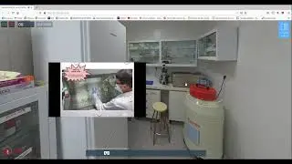 Teaser Evaluación de la actividad antiinflamatoria in vitro de una molécula en desarrollo preclínico