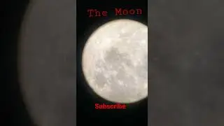 The moon- Traveling Cat
