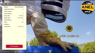 ANEL BEEHIVE ID - SCAN your Hive Part 2