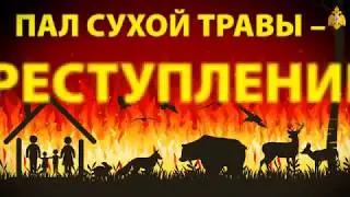 Пал сухой травы