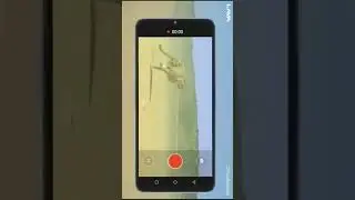 Best Budget 5g Phone in India - Lava Blaze 5G
