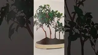 #interiordesign