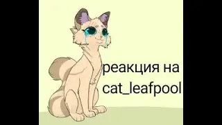 реакция на cat_leafpool \\ коты воители \\ реакция на..