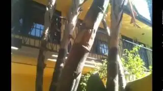 Интернет бизнес с нуля   единственный путь начать реально зарабатывать без лживых обещаний