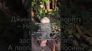 😂😂😂😂😂😂😂😂