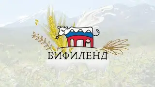 Про наш любимый биойогурт «Бифиленд»
