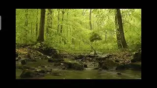 mood relaxing music for neet aspirants
